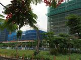 Valencia Garden Việt Hưng - Tặng Ngay 30 Triệu, Chiết Khấu 4%, Lãi Suất 0% Trong 9 Tháng