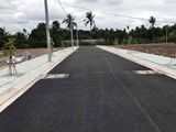 Dự Án Đất Nền Đường Tx52, Q12, Shr