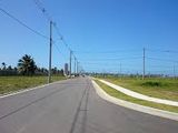 Đất Quận 2. Xây Tự Do Shr, Phường An Phú