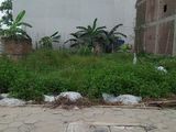 Bán 50M Đất Dịch Vụ Vị Trí Đẹp Tại Đường Tố Hữu,phường La Khê Hà Đông