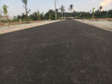 Dự Án Cao Cấp Sông Vàm Thuật