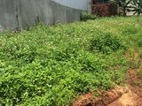 Bán Đất Đẹp Phạm Ngọc Thạch