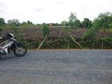 Hụt Tiền Bán Gấp 1911m2 Đất Làm Nhà Kho Đường Tân Liễu - Hưng Long - Bình Chánh