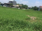 3729m2 Đất Bán Gấp, Giá 4,8 Tỷ, Mặt Tiền Đường T5,Xã Hưng Long, Bình Chánh.