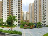 Căn Hộ 2pn Dự Án Mới 100% Thanh Toán 50% Nhận Nhà Ở Ngay