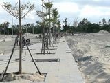 Đất Nền Ven Biển ,Tựa Sông Vị Trí Đắc Địa – Đầu Tư Sinh Lời Nhanh
