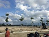 Chỉ Còn Vài Lô Cuối Cùng – Nhanh Tay Nắm Bắt Cơ Hội Đầu Tư Sinh Lời Cao
