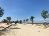 Cần Bán 5 Lô Biệt Thự Giá Rẻ Ngay Bãi Tắm Du Lịch- Lh: 0905.537.808