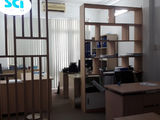 Văn Phòng Cho Thuê 32m2, Thiết Kế Hiện Đại, Ngay Mặt Tiền Đường Hoa Hồng, Tiện Đi Lại.