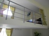 Bán Căn Hộ Xã Hội Phúc An, 30m2, 200tr, Có SHR, Sở Hữu Vĩnh Viễn