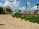 Cô Út Kẹt Tiền Bán Gấp Nhiều Đất Lô Gốc Cực Đẹp, Giá Cực Rẻ - 0903.331.229