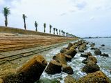 Bán Đất Nền Dự Án Vietpearl City View Biển Tại Trung Tâm Tp Phan Thiết