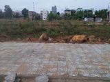 Cần Bán Gấp Đất Hướng Nam Đường 5m5, Khu Tđc Bá Tùng Mở Rộng, Đà Nẵng, Giá Rẻ.