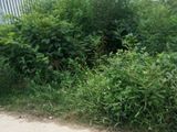 Bán Đất Mặt Tiền Đường Ngọc Anh, Cách Phạm Văn Đồng 200m, DT 100m2
