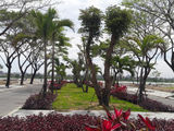 Đất Hải Châu, Đà Nẵng Giá Rẻ Chỉ Còn 1 Lô Duy Nhất Đối Diện Trung Tâm Thương Mại, Xây Nhà Ở Ngay