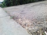 Đất Thổ Cư Bình Chánh,1123 M2 Đường Hưng Lộ 11, Giá 2.5 Tỷ Đất Đẹp, Chính Chủ, Shr
