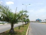 Cần Bán Đất Chính Chủ Tại TP, Dt 100m2, Sổ Đỏ Riêng
