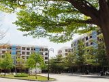 Cần Bán Gấp Chung Cư Lô B P Tây Thạnh Q Tân Phú