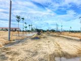 Dự Án Seaview _ Cơ Hội Cuối Sỡ Hữu Vị Trí Lí Tưởng