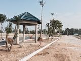 Bán Đất Nền Dự Án Tại Dự Án Khu Đô Thị Dương Ngọc,Ven Biển Đà Nẵng , Sinh Lãi Cực Cao