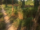 Cần Sang Gấp Lô Đất 85m2 Giá 250 Triệu,Bình Chánh