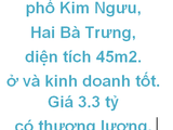 Bán Nhà 4 Tầng Phố Kim Ngưu, Hai Bà Trưng, 45m2, 3.3 Tỷ, Kinh Doanh Tốt