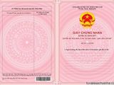 Bán Đất Đường 10a, Xã Tân Túc, Bình Chánh, Tp.Hcm Diện Tích 100m2 Giá 270 Triệu.