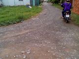 Cần Tiền Cho Con Du Học Nên Bán Gấp Đất 115m2, Tại Ấp Bình Tiền 2, Đức Hoà – Long An.