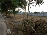 Bán Đất Nền Dự Án Đường Nguyễn Cửu Phú, Q.Bình Tân, Tphcm