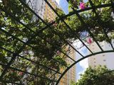 Cho Thuê Căn Hộ Cao Cấp City Gates Towers Quận 8 Tp Hcm