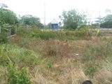 Bán 3500 M Đất Mặt Tiền Liên ấp 3-4-5, Ngay Góc Tân Liêm, Ngang 60 M, Giá 2,7 Tr/ M2