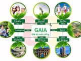 Mở Bán KĐT GAIA Tuyến Đường Dũng Sĩ Điện Ngọc, Gần Cocobay 350tr Ck Đến 15%