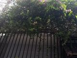 Cần Bán Căn Nhà 1 Trệt 2 Lầu, Đường 297, Phước Long B, Quận 9