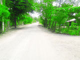 Cần Bán 1600m2 Đất Khu Dân Cư Tân Qúy Tây Bình Chánh. 0903078370