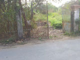 Lam Ăn Thua Lỗ 1900m2 (300 TC) Đường Tân Liễu Xã Hưng Long Bình Chánh.