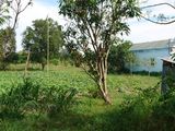 NỢ TIỀN Sang Gấp 768m2 Đường Nguyễn Văn Thời, Bình Chánh