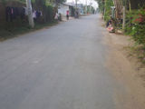 Bán Gấp 1900m2 (300 Tc) Đường Tân Liễu Xã Hưng Long Bình Chánh.
