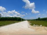 Đất Nền Dự Án Đối Diện Cổng Tây Sân Bay Long Thành, Giá Cực Kỳ Cạnh Tranh.