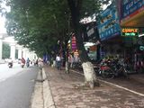 Nhà Mặt Phô Xuân Thủy 40m, 4 Tầng, 12 Tỷ.
