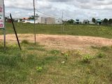 Bán Đất Tỉnh Lộ 825 Diện Tích 600m2 Tại Đức Hòa Hạ, Đức Hòa, Long An.