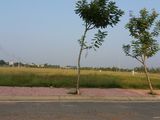 Bán Đất Phân Lô Khu Đô Thị Nam Vĩnh Yên