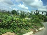 Đất Mặt Tiền Diện Tích Rộng,Giá Rẻ,Ngay Kcn Long Hậu,cam kết sinh lời.