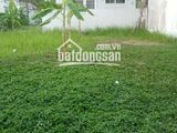 Bán Nhanh 2 Lô Đất Khu Hưng Phước 3, Phú Mỹ Hưng, Đất Đẹp Vị Trí Tốt