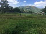Cần Bán Đất Phân Lô Tại Thôn Vĩnh Điềm Thượng, Dt Từ 120m- 200m2, Giá Từ 440tr-500tr/Lô