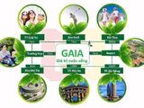Kđt Gaia City Đầu Tư Đất Nền Giá Rẻ Liệu Có Khả Năng Sinh Lời Cao Ko?