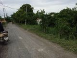 1233m2 Đất Mặt Tiền Đường Tập Đoàn 16, Đa Phước, Bình Chánh. Gía: 3,3 Tỷ