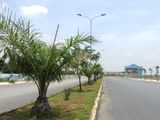 Cơ Hội Duy Nhất Sở Hữu SH150i + Sổ Tiết Kiệm 20tr Khi Đặt Cọc Đất Nền Trong Tuần Này