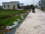 Bán Đất Thổ Cư 100% Huyện Bình Chánh - Cam Đoan Giá Gốc Từ Chủ Đầu Tư
