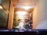 Bán Nhà Phố Hoàng Quốc Việt, Cầu Giấy 50 M2 * 6 Tầng, Ô Tô, Kinh Doanh 9,8 Tỷ