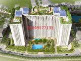 Sở Hữu Ecohome Phúc Lợi Chỉ Với 250 Triệu, Vay Ngân Hàng 70%, Ls 0%, Ck 30Tr, Lh 01699577135